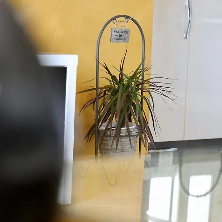 Apartment Nikol *